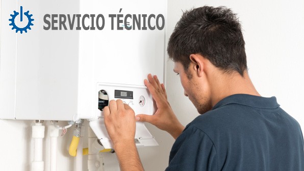 tecnico Vaillant Torre-Pacheco